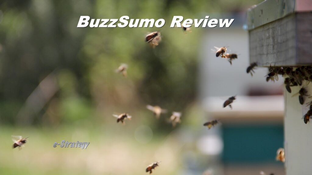 BuzzSumo Review