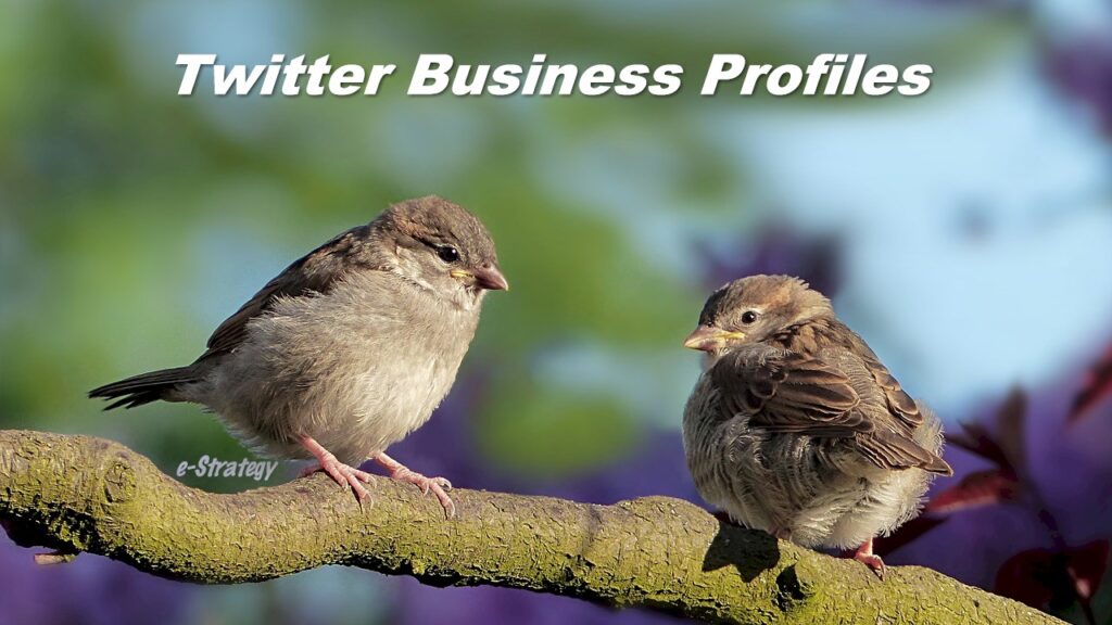 Twitter Business Profiles
