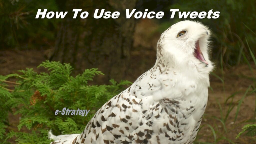 How To Use Voice Tweets