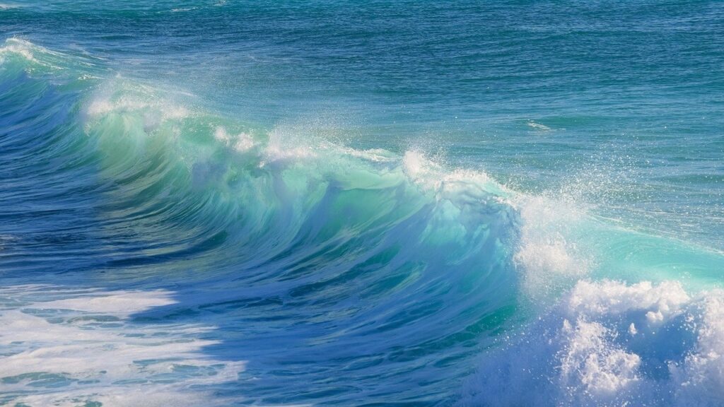 Photo of Waves